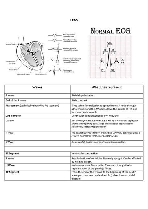 Describing Ecgs A Guide On How To Interpretapproach Ecgs At A Basic