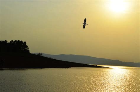 Hirakud dam - It is the longest earthen dam in the world.