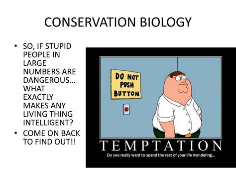 PPT - CONSERVATION BIOLOGY PowerPoint Presentation, free download - ID:1959926