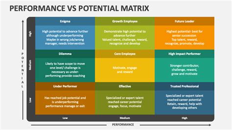 Performance Vs Potential Matrix PowerPoint Presentation Slides PPT