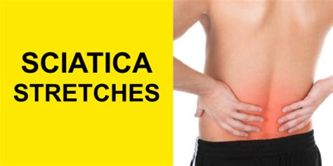 Sciatica Stretches & Exercises for Herniated Discs — The Pain Free Institute