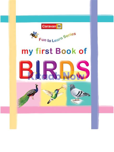 Fun To Learn Series My First Book Of Birds Pocket Size Kitaabnow