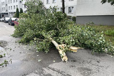 Mn Stwo Uszkodze Po Nocnej Nawa Nicy Pracowita Noc I Poranek Dla