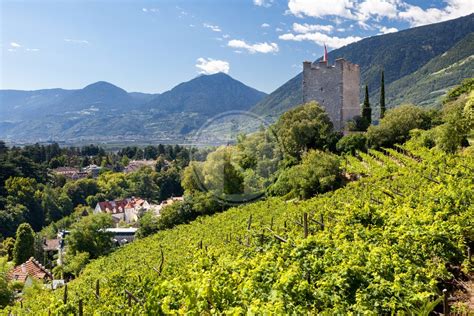 Le Migliori Cantine Del Trentino Alto Adige Quali Sono E Dove Si