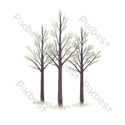 Bande Dessinée Illustration Des Arbres Forestiers PSD Éléments