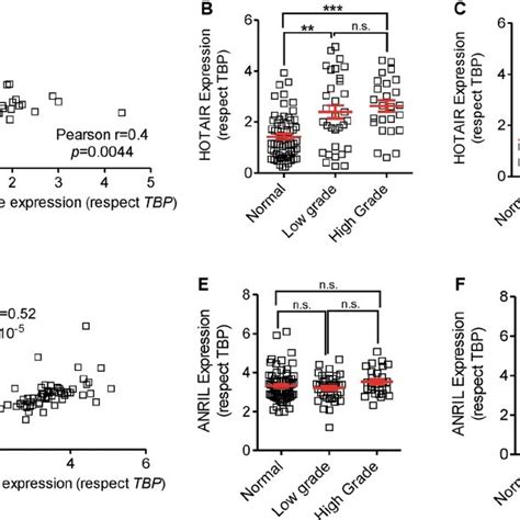 Expression Of Lncrnas Hotair And Anril In Nmibc A Qpcr Analyses