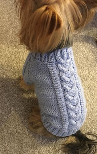 Ravelry: Dog sweater pattern by Dotty Patterns