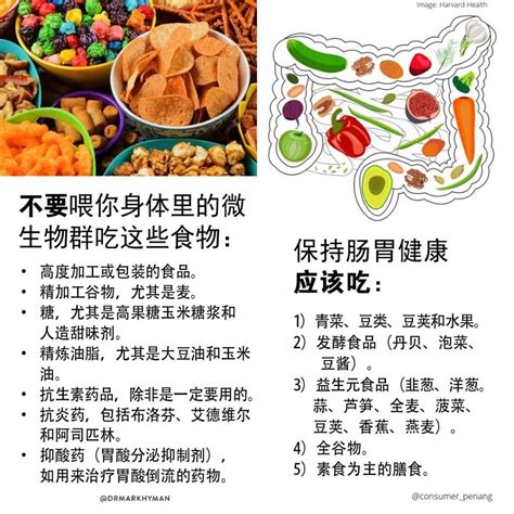 为什么你应该为肠胃健康而进食？ 槟城消费者协会