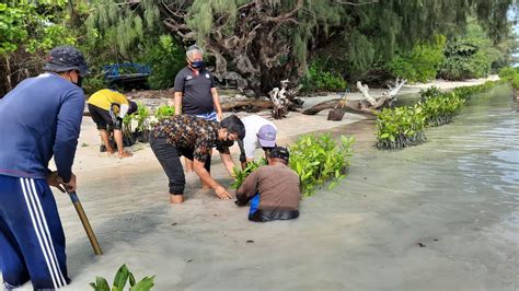 Peringati Hari Maritim Nasional Mangrove Jakarta Wujudkan