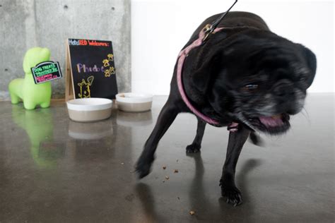 hotelred-madison - Thyme & Love