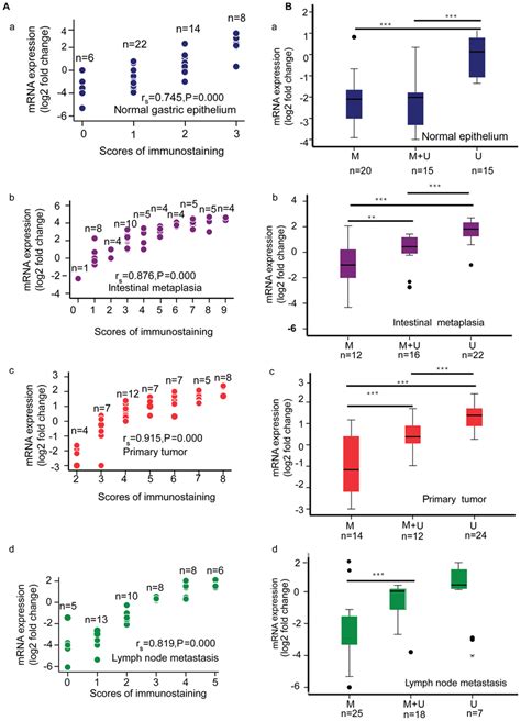 Correlation Of Claudin 3 MRNA Expression With Claudin 3 Protein