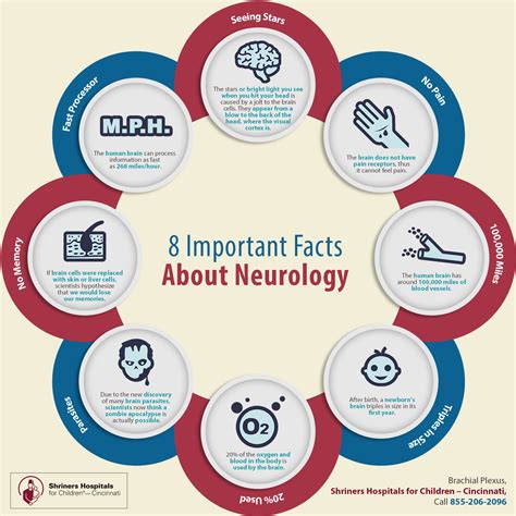 Important Facts About Neurology Shared Info Graphics