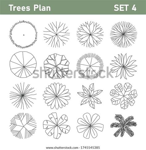 Tree Top Tree Plan Free Hand Stock Vector Royalty Free