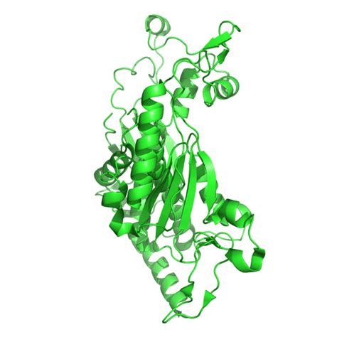 Chorismate Synthase Wikiwand