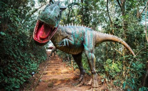 Parque Dos Dinossauros Confira Onde Encontrar Esses Seres Jur Ssicos