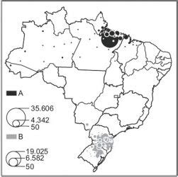 O Extrativismo Vegetal No Brasil Resumo Simulado De Geografia