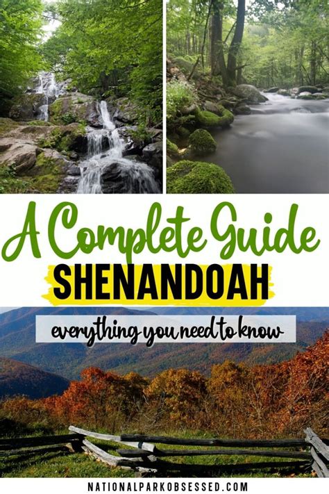 Visiting Shenandoah National Park The Complete Guide In 2024