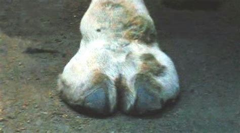 Yeeeaaah Hot Wimble Don T