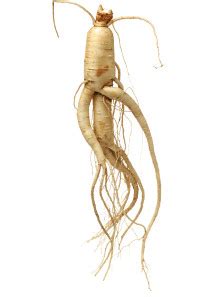 Ginseng Extract Panax Ginseng Ginsenoside