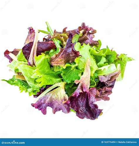 Folhas De Salada Isoladas Folhas De Salada Mista Espinafres Barba