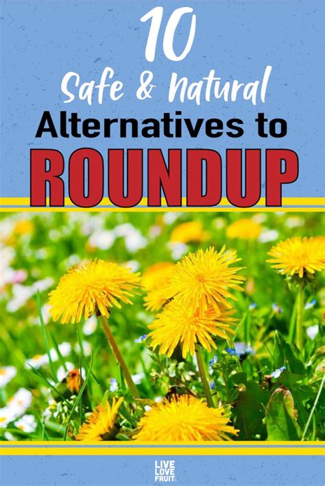 10 Safe and Natural Alternatives to Roundup - Live Love Fruit