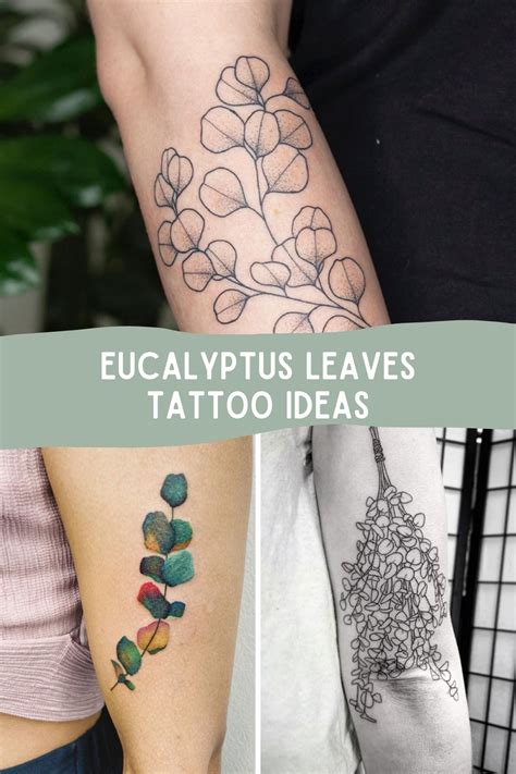 47 Soft + Simple Eucalyptus Tattoo Designs - Tattoo Glee