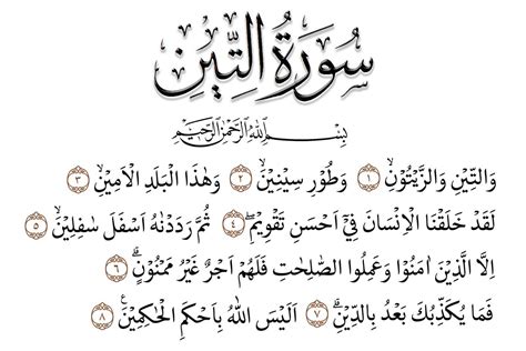 Bacaan Surah At Tin Membaca Surat Tulisan