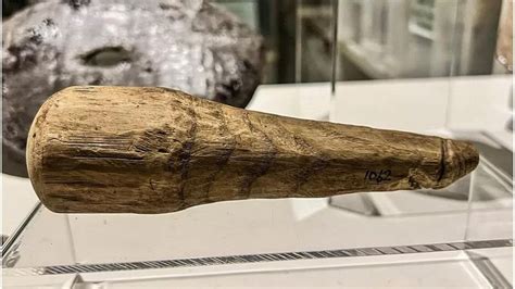 Wood You Believe It 2000 Year Old Sex Toy Found At Vindolanda Roman Fort In Northumberland