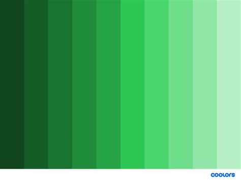 Green Monochromatic Color Palette Green Colorpalette Monochromatic