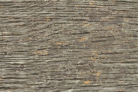 High Resolution Textures Wood 10 Dry Cracked Bench Plank Tree Bark