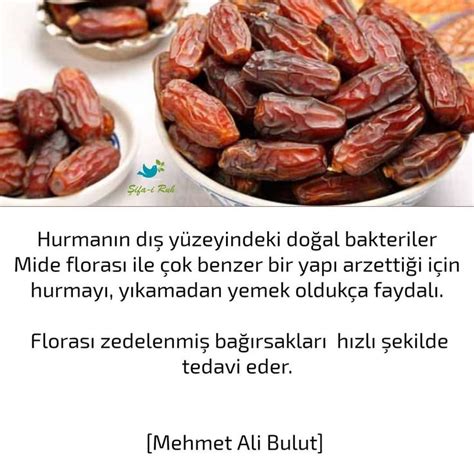 Şifa i Ruh on Instagram Hurmanın dış yüzeyindeki doğal bakteriler