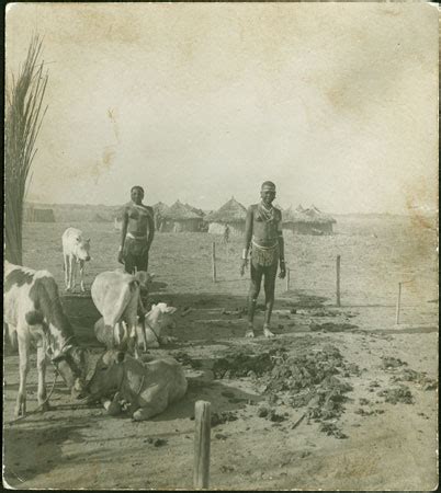 Mandari Cattle Camp From The Southern Sudan Project