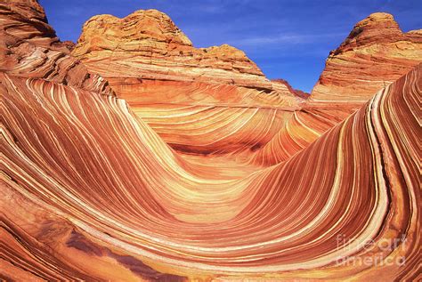 The Wave Coyote Butte Arizona Usa Photograph By Neale And Judith