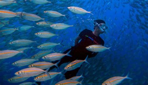 Spot Raja Ampat Wajib Kunjungi Ada Satu Yang Ajaib