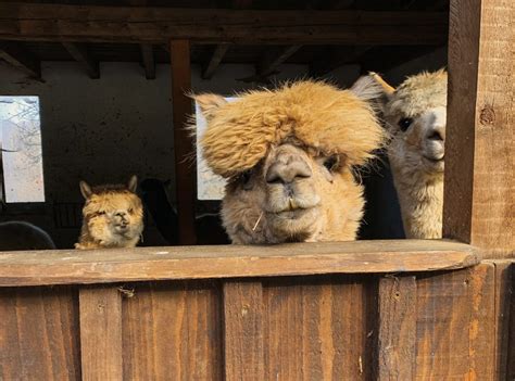 Naked Capitalism Finance Economics Politics Power Page Of