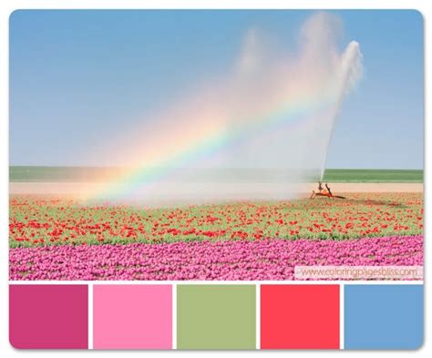 Field Of Flowers Color Palette Color Blending Color Schemes Color Balance