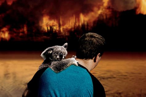 Australia Wildfires a Quick Wake-Up Call on Animal's Welfare | About Islam