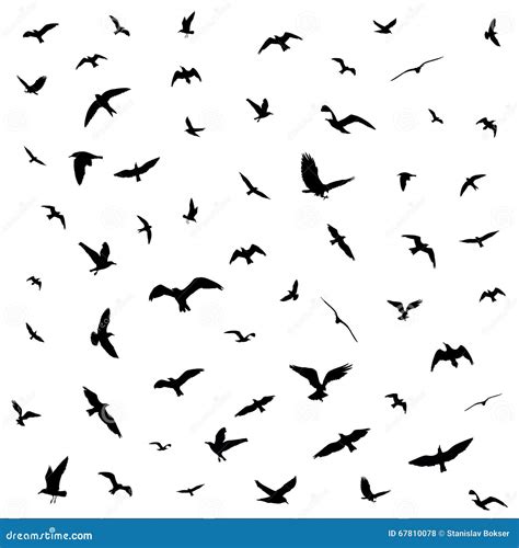 Flying Birds Silhouettes On White Background Stock Vector