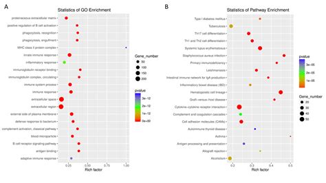 Identification Of LncRNA MicroRNA And MRNA Associated CeRNA Network