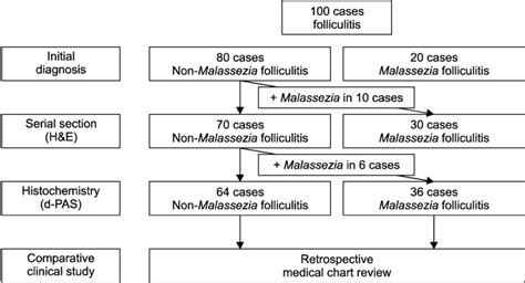 Scheme Of Evaluation Of Malassezia Folliculitis Mf And Non Mf Nmf