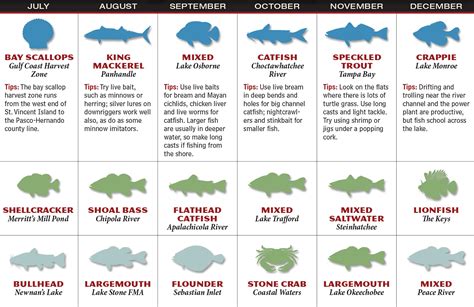 Use The Game And Fish Florida 2017 Fishing Forecast To Discover The Best