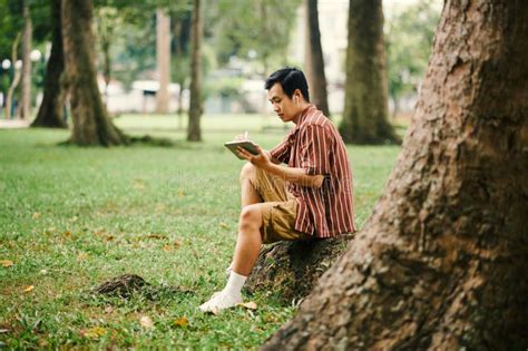 Creative Man Drawing Sketches in Park Stock Image - Image of summer ...