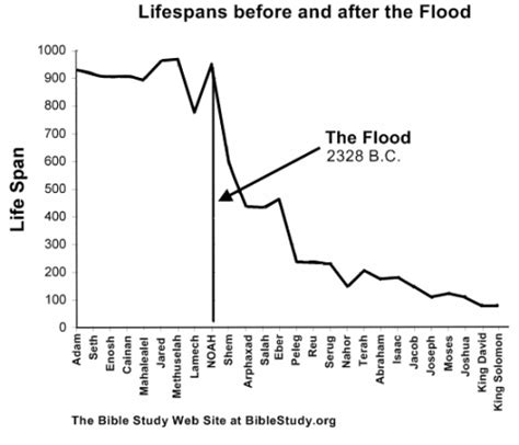 Lifespans Before And After The Flood Bible Study For Kids Bible