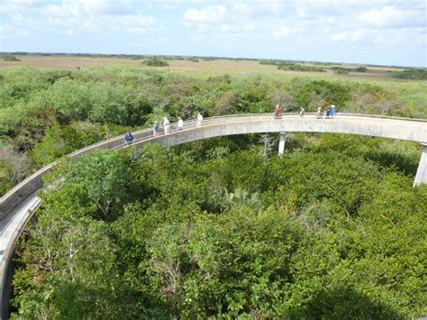 Everglades Shark Valley Bike Trail