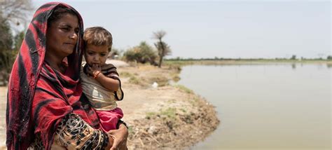 Situação dos rohingya piora seis anos após crise alertam agências da