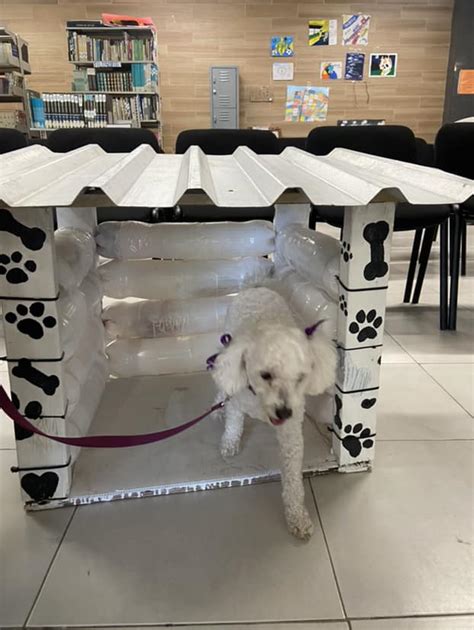 Realizan Estudiantes Del Conalep En Ju Rez Colecta Perrito Pet