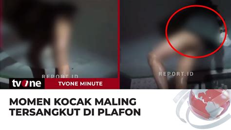 Apes Maling Tersangkut Di Plafon Kios Saat Hendak Lancarkan Aksinya