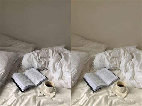 NUDE FILTER LIGHTROOM MOBILE DESKTOP PRESETS FilterGrade