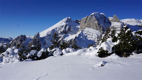 Blick Zum Wildhuser Schafberg Fotos Hikr Org