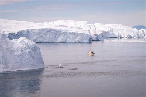 Greenland • Your Ultimate Travel Guide | Guide to Greenland